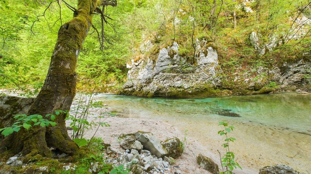 Hotel Kendov Dvorec Spodnja Idrija