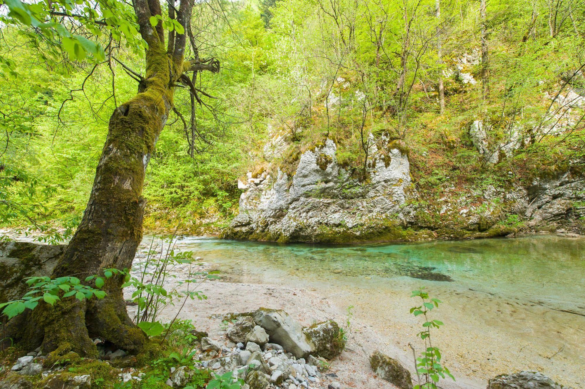 Kendov Dvorec 5* Spodnja Idrija